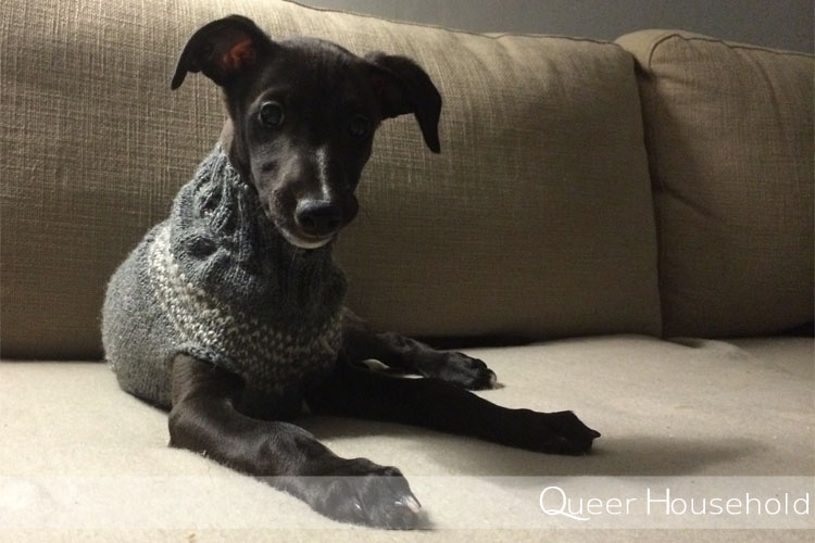 10 facts of life with a puppy - Queer Household